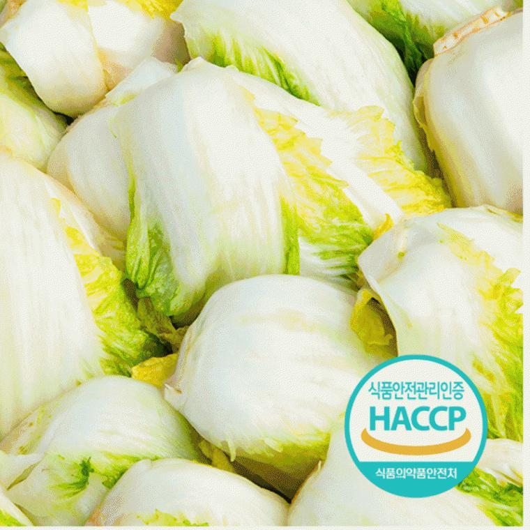 절임 배추 국산 해남 김장 일정 예약 20Kg pickled cabbage