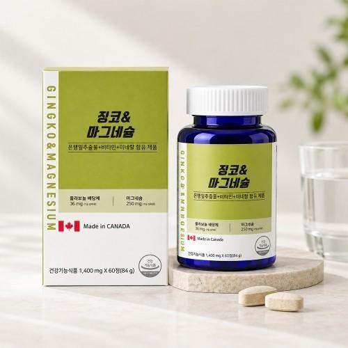 웰러스 징코 마그네슘 1400mg x 60정