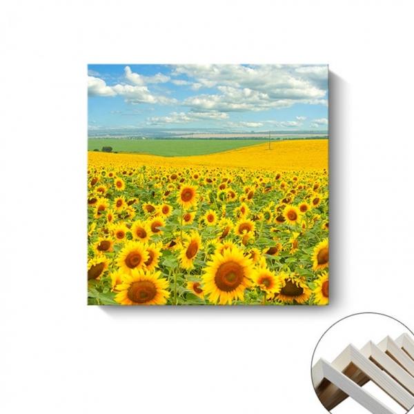 [ABC0469] 해바라기액자 액자 사진액자 인테리어액자 당일방송