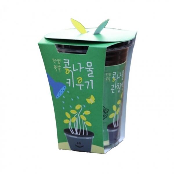 뚝딱 틔움 한컵 쑥쑥 콩나물 키우기 교구 재료