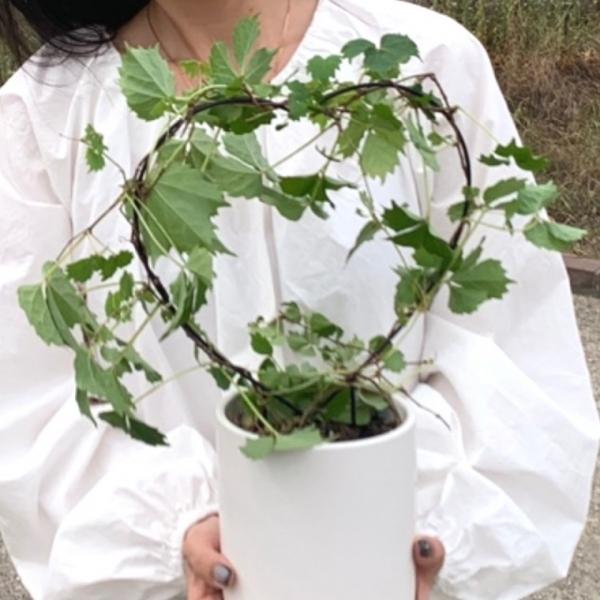 하트모양 원형 넝쿨 화분 식물지지대