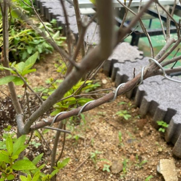 원예 공예 분재용 알루미늄 철사 2.0mm