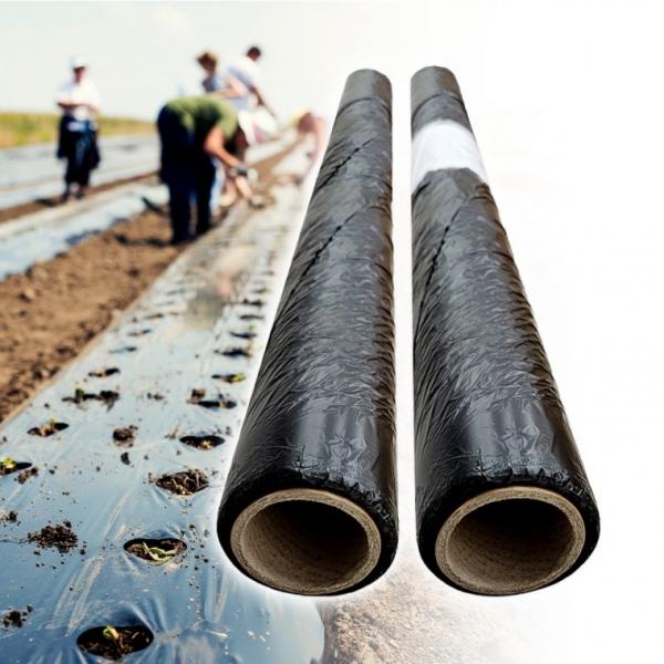 멀칭비닐 HD 두께 0.015T 길이200M 농사비닐