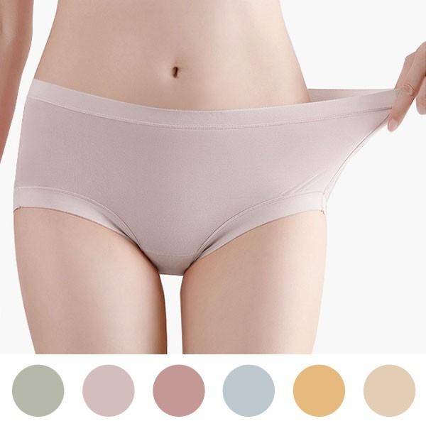 6색상한세트 50수 모달 여자 면 스판 L XL 2XL 지퍼백포장
