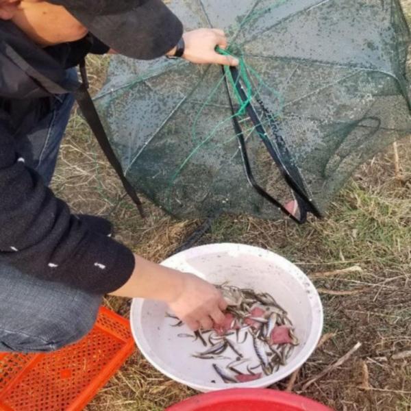 접이식 8구 사각 통발 뜰채 바다 소품 물고기 통발 새우통발 그물망 낚시