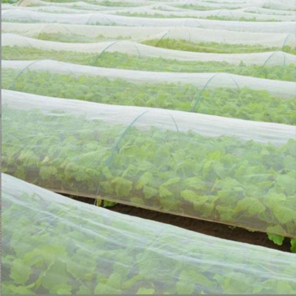한냉사 해충방지 방충망 한랭사 2Mx20M 2.5Mx20M 텃밭