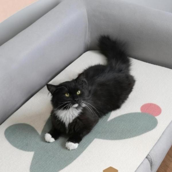 매트 고양이 스크래쳐 벽부착 보호패드 장난감 벽부착 접착
