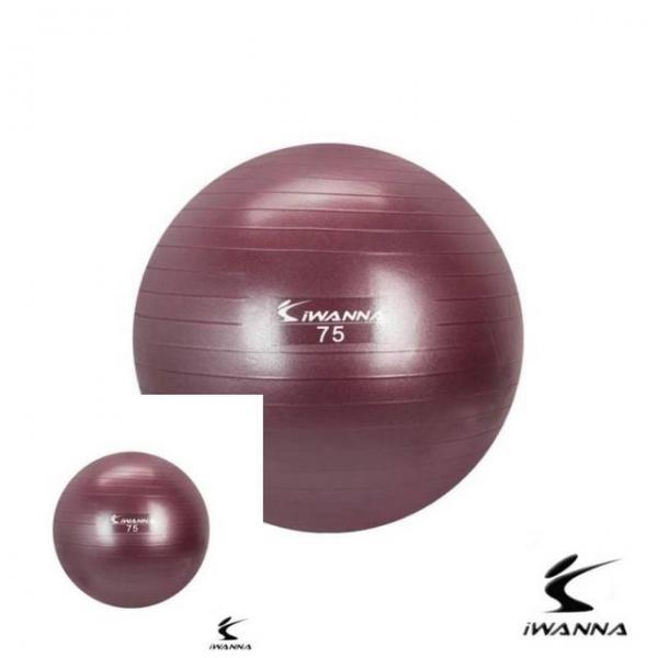 짐볼 75cm 루비와인 홈트레이닝기구 홈트