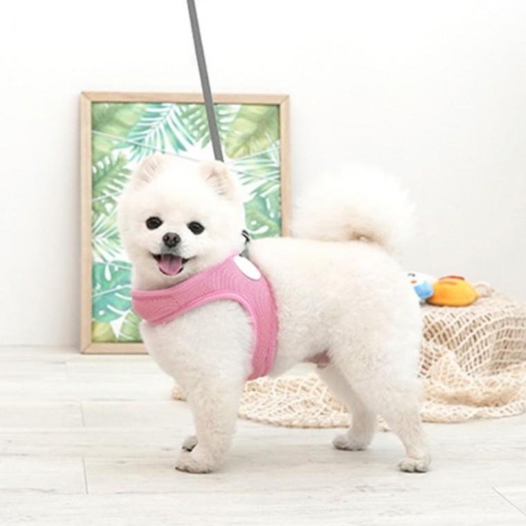 패리스독 강이지 리드줄 하네스 매쉬 산책줄 핑크