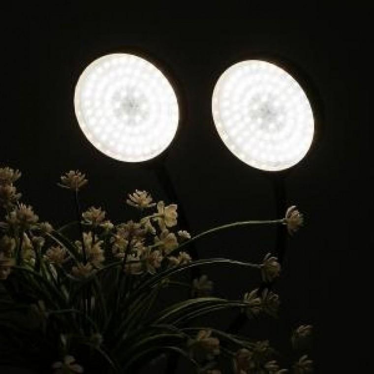쑥쑥 광합성 LED 식물등(2 헤드) (웜색) 성장