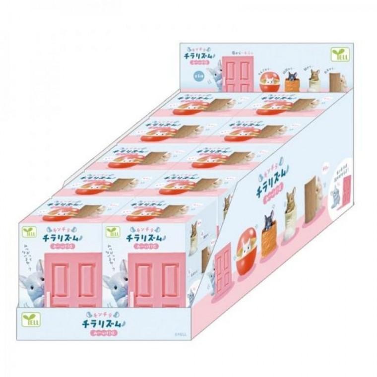 블라인드박스 Yell 친칠라 깔끔한 찰칵 리듬 발견 (랜덤발송)