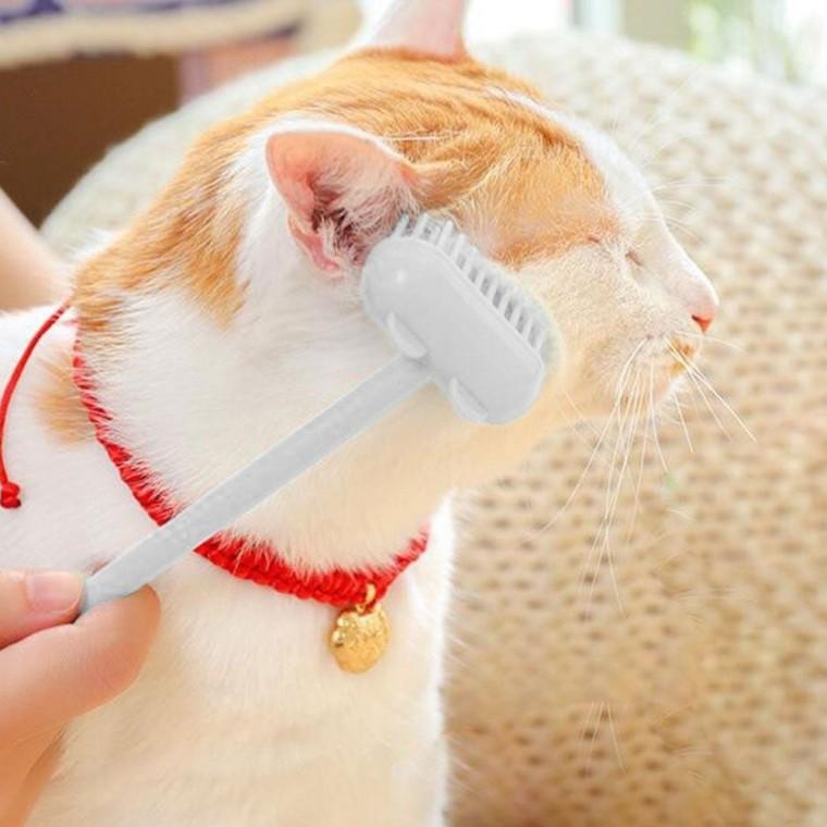 고양이 브러쉬 고양이그루밍빗 고양이털브러쉬 고양이죽은털제거