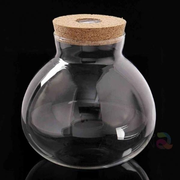 마리모키우기 LED유리병 15x16 유리병수족관 마리모집 마리모병 마리모수족관 마리모어항