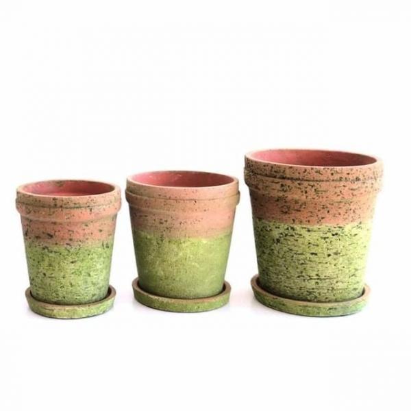 이끼 화분 16x18cm 식물화분 실내화분