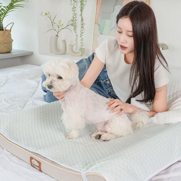 강아지 듀라론 시원한 매트 대형 1P 아이스 방석 여름