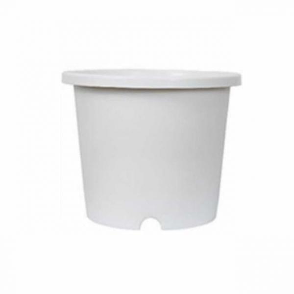 포트 화분 33x26cm 선인장화분 사무실화분
