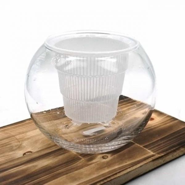 수경 재배 난 14x15cm 난화분 저면관수화분
