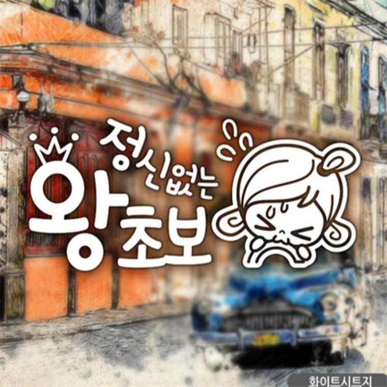 초순이 정신없는왕초보 초보자동차스티커 화이트 초보운전스티커 꾸미기데코스티커 차량스티커