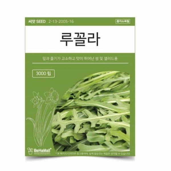 텃밭 채소 씨앗 루꼴라 식물키우기 식물기르기