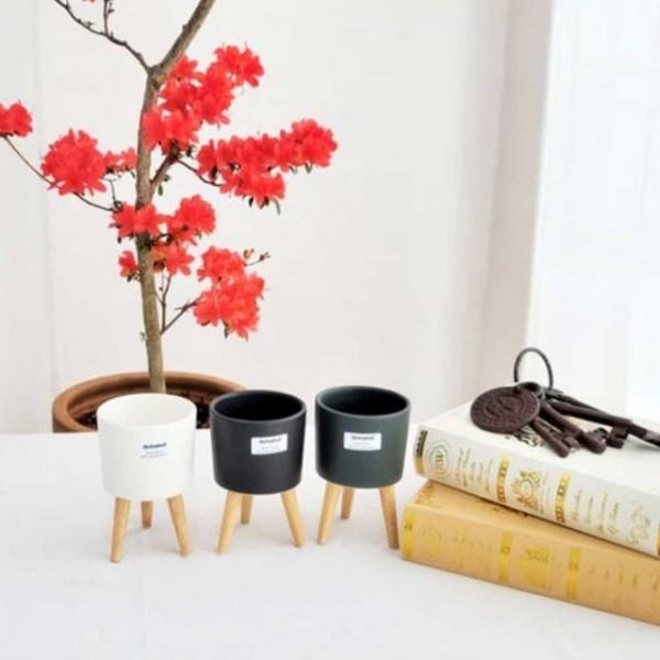 스텐드 화분 8x12cm 미니화분 다육이화분