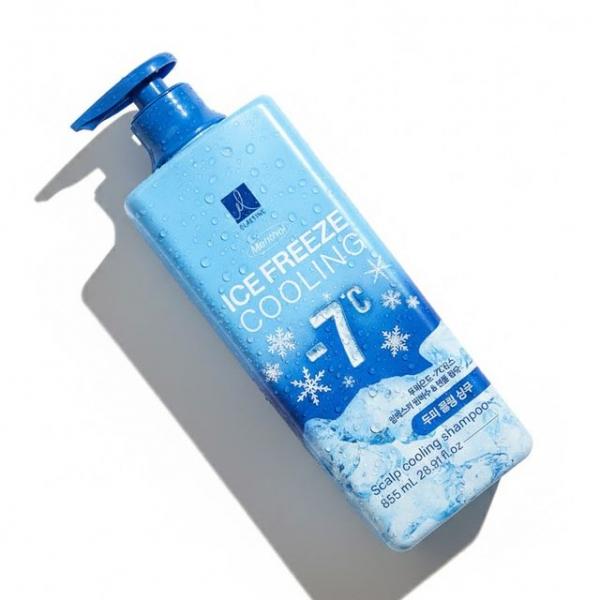 알래스카 빙하수 성분 유분기 세정 쿨링 샴푸 855ml