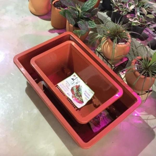 텃밭 화분 바퀴 50x32 옥상화분 야채화분