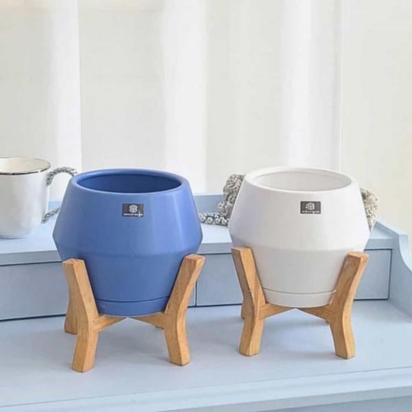 도기 화분 우드스텐드 세트 화초화분 도자기화분
