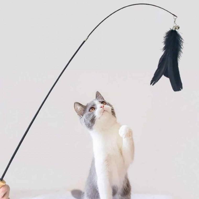 고양이 낚시대 와이어 고양이사냥놀이 고양이막대장난감 고양이사냥장난감 고양이낚싯대 고양이사냥놀이장