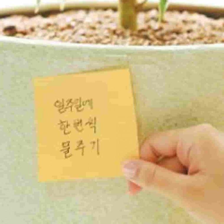 포스트잇 라인 크림블루 76x102mm 독서메모 접착식메모지 스티커메모지 메모테이프