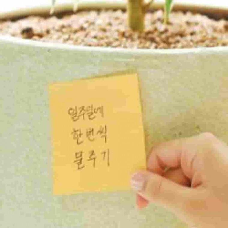 포스트잇 라인오렌지 76x102mm 점착식메모지 떡메 데스크메모지 접착메모지