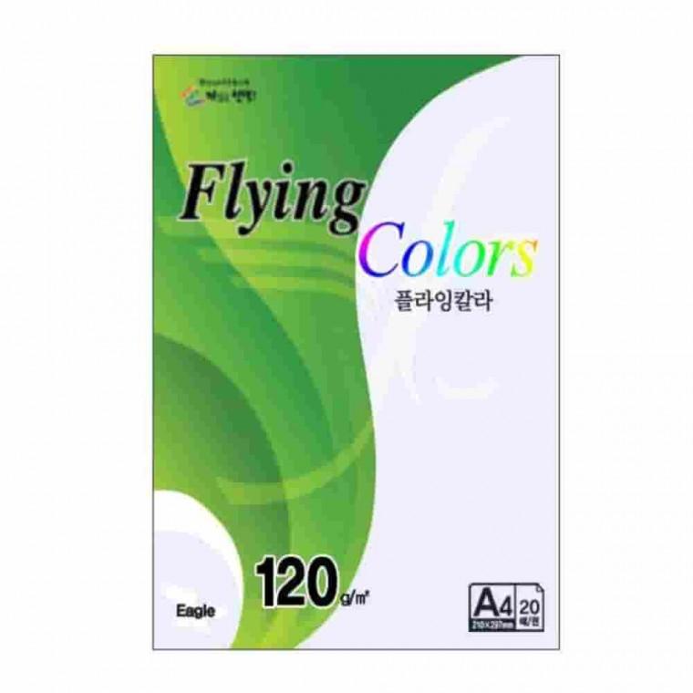 플라잉칼라 흰눈색 A4 120g 20매 컬러복사용지 A4용지 컬러용지 색상지