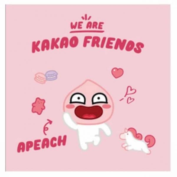 DIY 보석십자수 어피치 25X25 십자수비즈 비즈아트