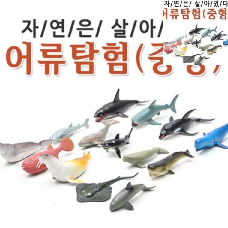 동물놀이세트 동물교육놀이 동물학습교구 동물체험놀이 동물학습게임 자연은살아있다 어류탐험 중형