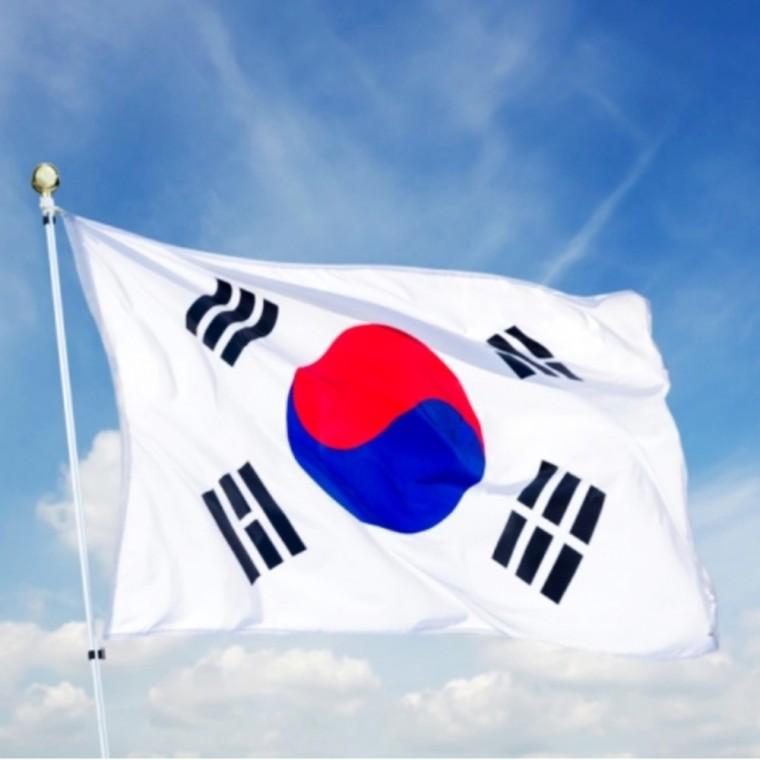 대형 응원용 태극기 게양용 90x135
