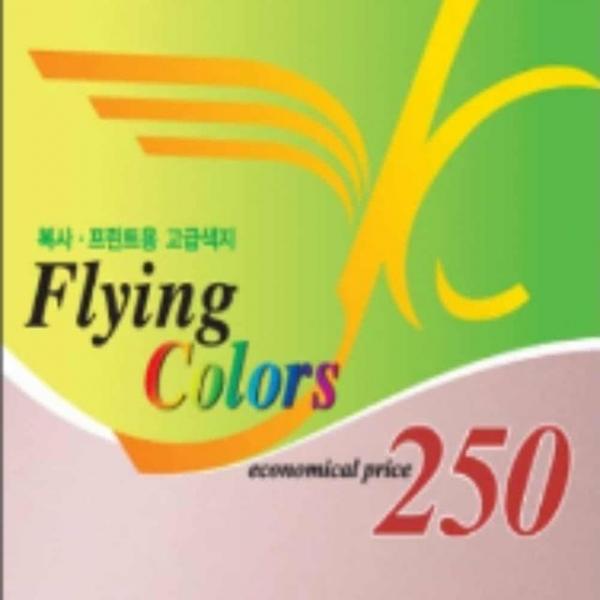 컬러 용지 A4 250매 (연분홍색) 컬러색지 복사용지