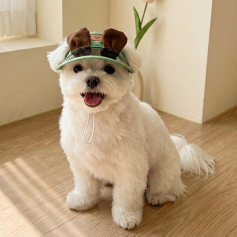 반려동물 귀여운 여름썬캡 펫 고양이 강아지 외출 자외선차단 캡모자
