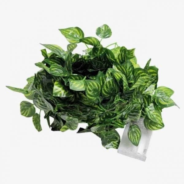 LED 등나무 넝쿨 10m 라인조명LED LED라인조명 줄LED