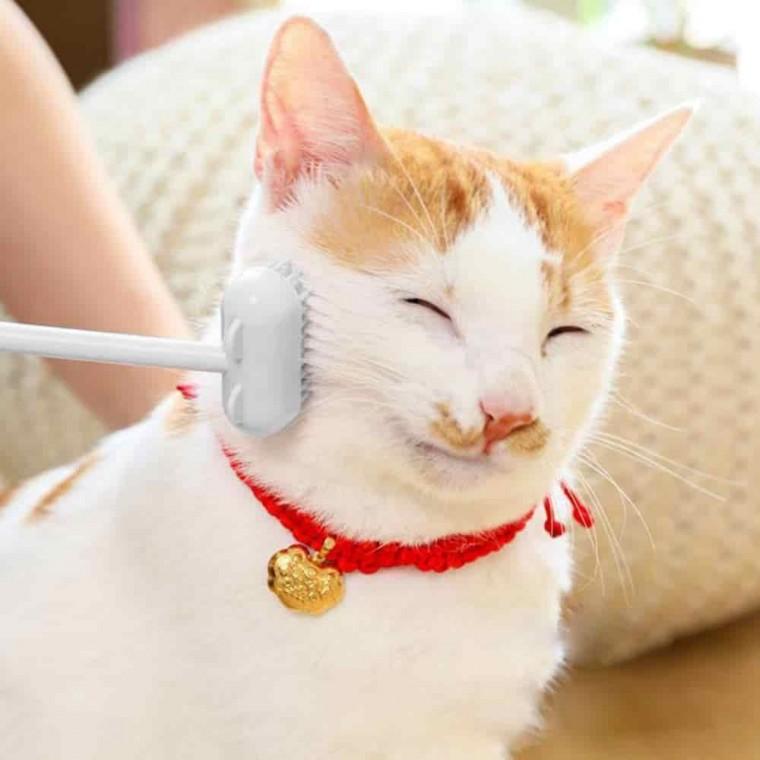 고양이 브러쉬 강아지털빗 죽은털빗 고양이털제거 고양이털빗 엉킨털빗