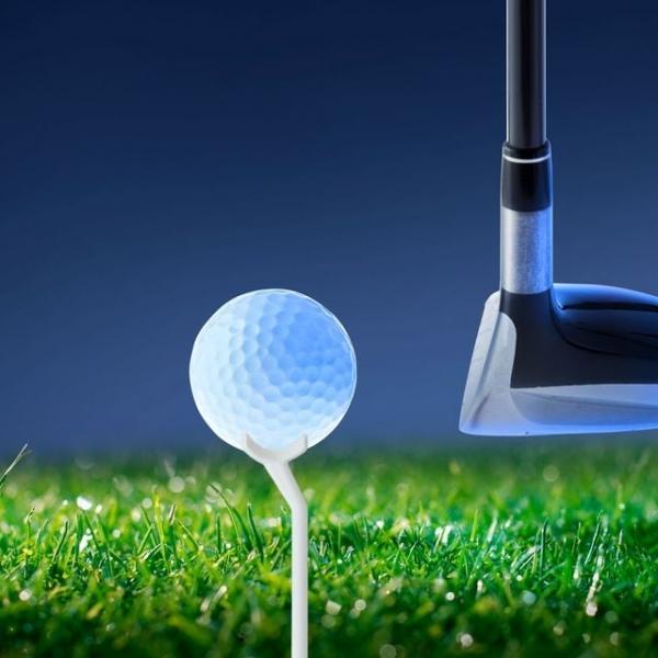 트리플 골프티 15개입 골프티꽃이 골프롱티