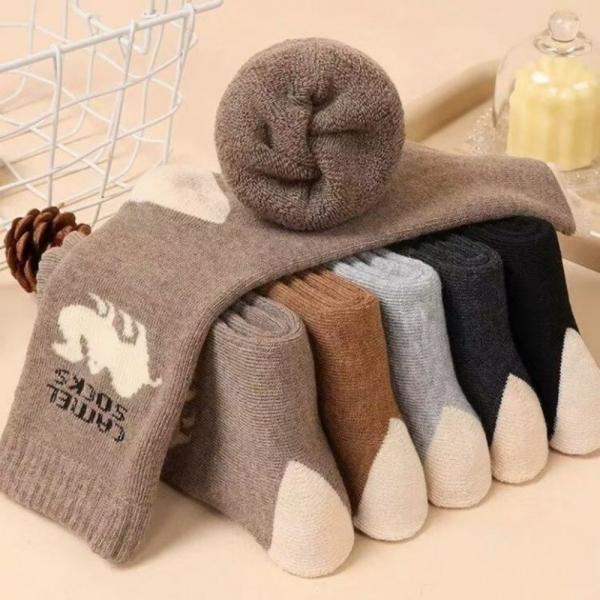 낙타 양말 5켤레 간절기 봄 가을 남녀공용 중목 캐주얼 양말