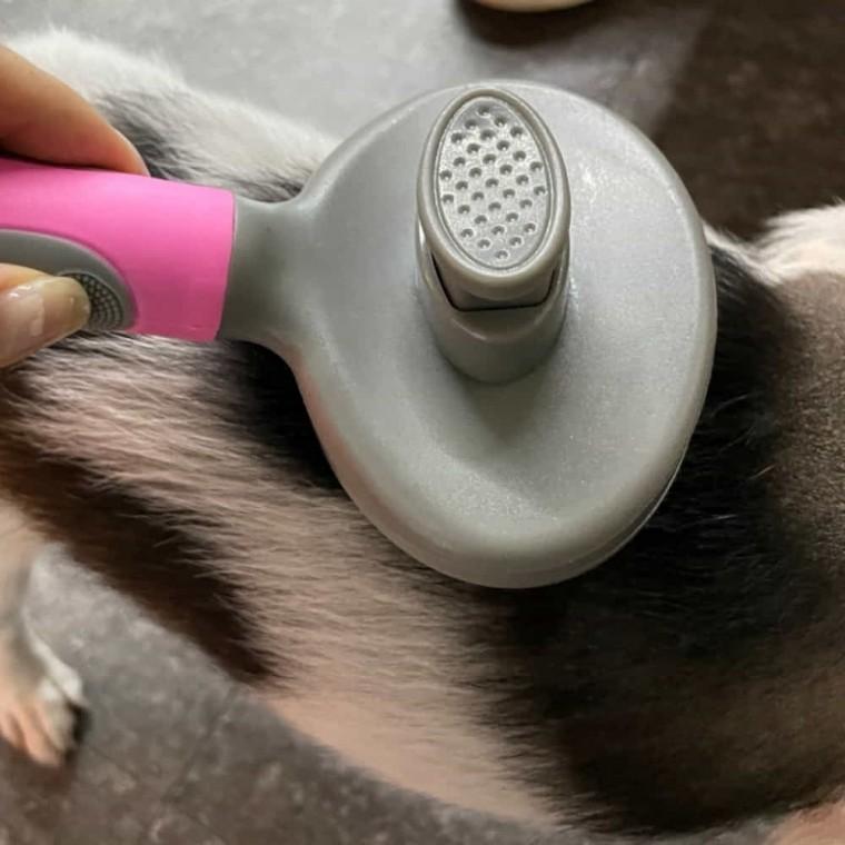 고양이 슬리커브러쉬 핑크 반려동물브러쉬 고양이슬리커브러쉬