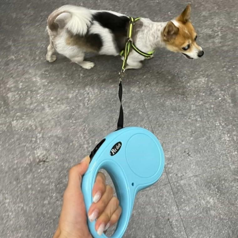 산책 자동 리드줄 블루 5m 소형견리드줄 애견자동리드줄