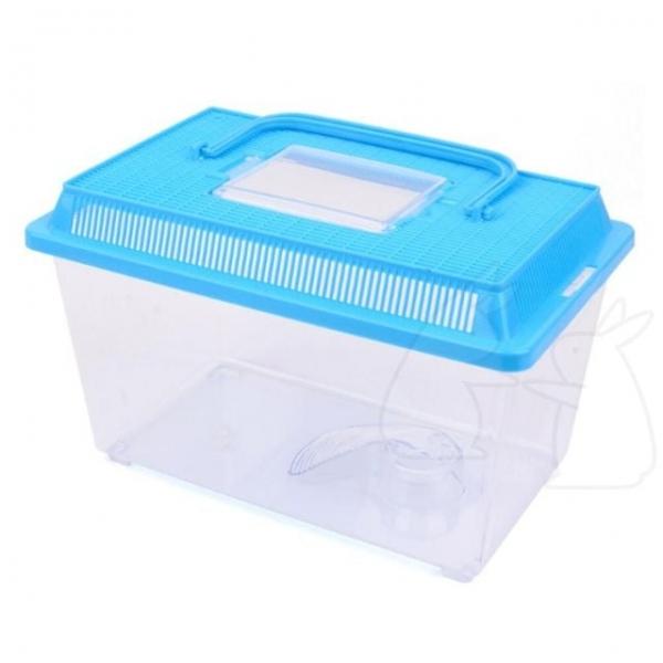 채집통 대형 곤충 파충류 나비 투명 관찰