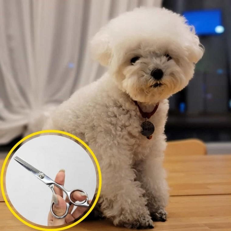 숱치기 틴닝가위 숱가위 셀프헤어컷