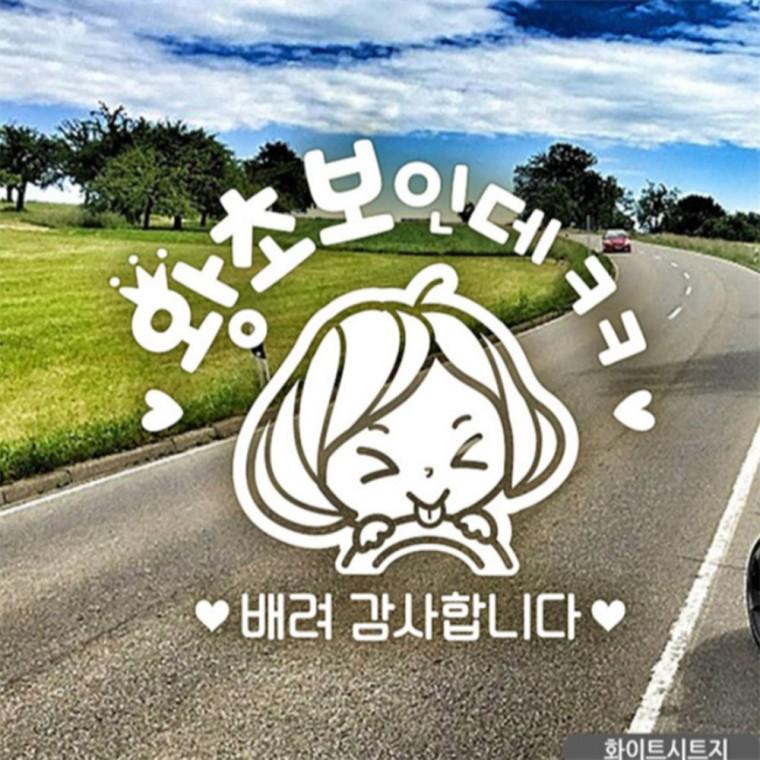 왕초보인데 초보자동차스티커 화이트 차량스티커 고령운전자스티커 안전거리스티커