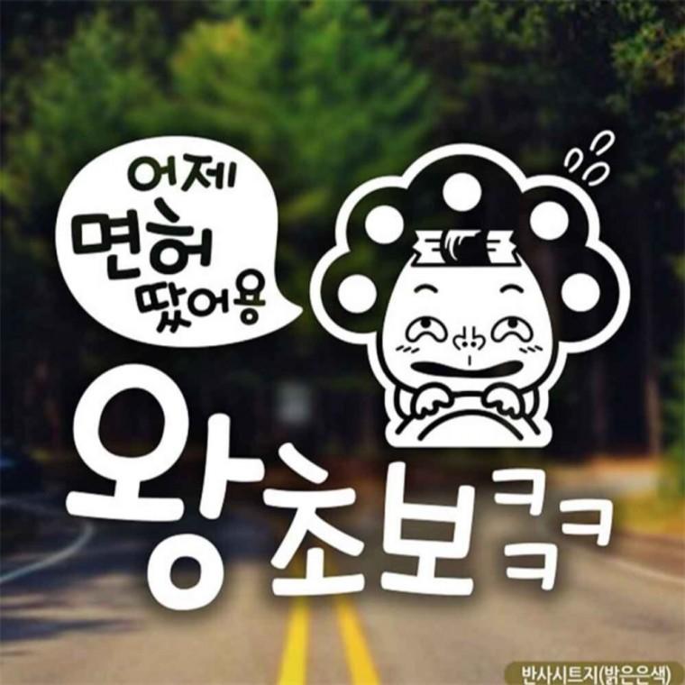 자동차스티커 어제면허땄어용 왕초보 반사시트지 양보운전스티커 안전운전스티커 부모님운전스티커