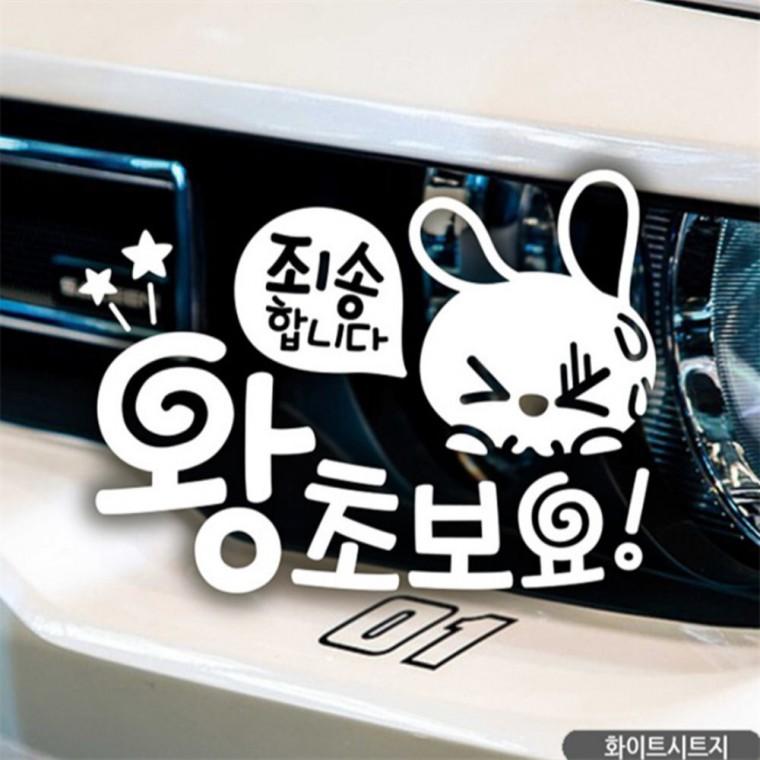 죄송합니다 왕초보요 초보자동차스티커 화이트 꾸미기데코스티커 임산부운전스티커 차량스티커