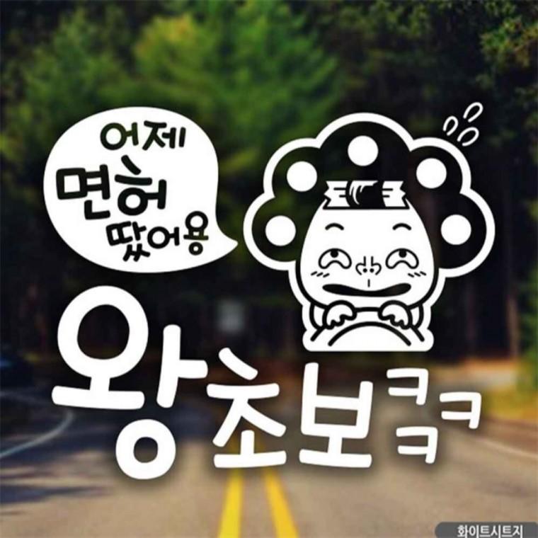 자동차스티커 어제면허땄어용 왕초보 화이트시트지 임산부운전스티커 꾸미기데코스티커 양보운전스티커