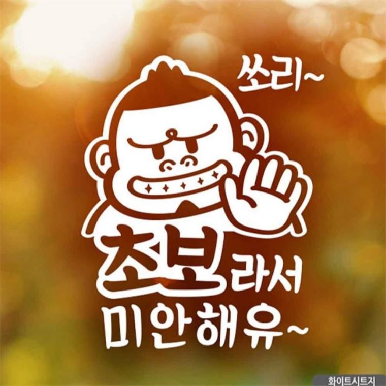자동차스티커 초보라서미안해유 화이트시트지 꾸미기데코스티커 고령운전자스티커 차량스티커