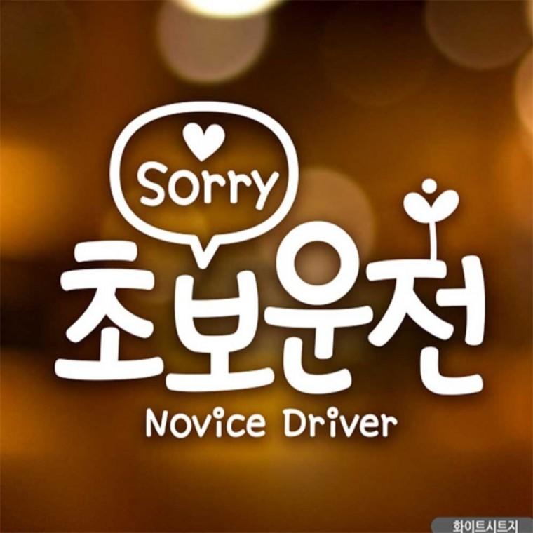 자동차스티커 Sorry 초보운전 화이트시트지 꾸미기데코스티커 고령운전자스티커 안전운전스티커